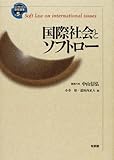 国際社会とソフトロー (ソフトロー研究叢書)