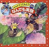 NHKやってみようなんでも実験第4集〈3〉忍者?てんとうむしのひみつ・カタツムリの不思義