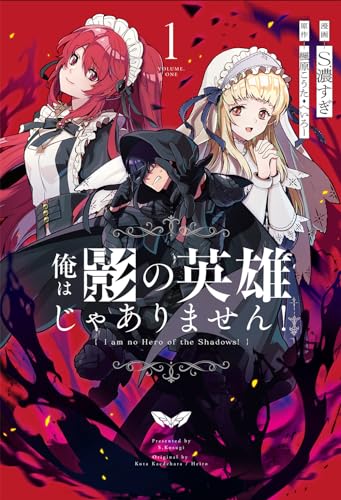 俺は影の英雄じゃありません！ 第1巻の表表紙