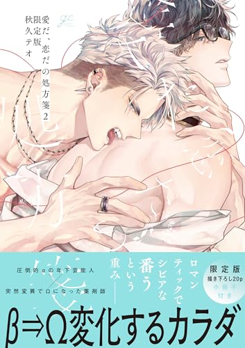 愛だ、恋だの処方箋（2） 限定版