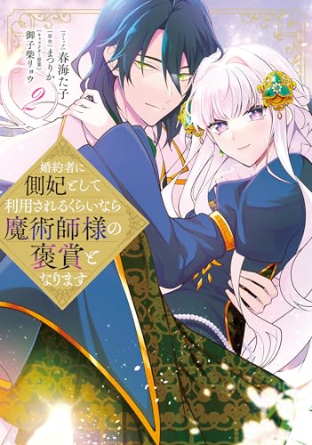 婚約者に側妃として利用されるくらいなら魔術師様の褒賞となります（2）