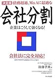 決定版 債務超過、M&Aに最適な会社分割