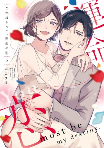 これはきっと、運命の恋 3 (ミッシィコミックス/YLC Collection)