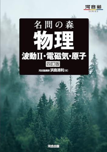 名問の森 波動II・電磁気・原子の表紙
