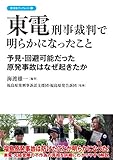 東電刑事裁判で明らかになったこと (彩流社ブックレット)