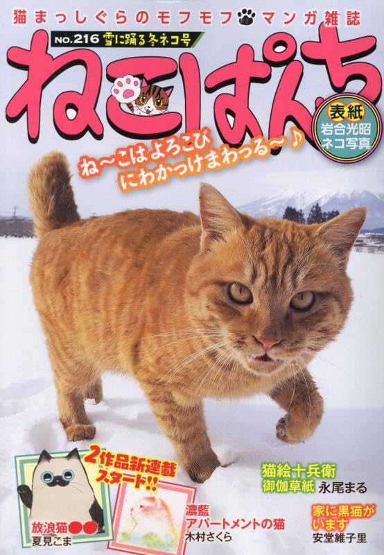 ねこぱんち 雪に踊る冬ネコ号