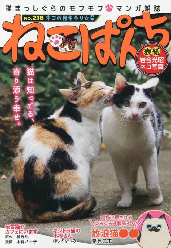 ねこぱんち ネコの目キラリ☆号