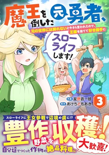 魔王を倒した元勇者、元の世界には戻れないと今さら言われたので、王国を捨てて好き勝手にスローライフします！（3）