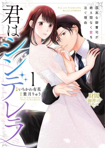 君はシンデレラ～孤高な御曹司が絶え間なく愛を注ぐ理由～【財閥御曹司シリーズ】（1）