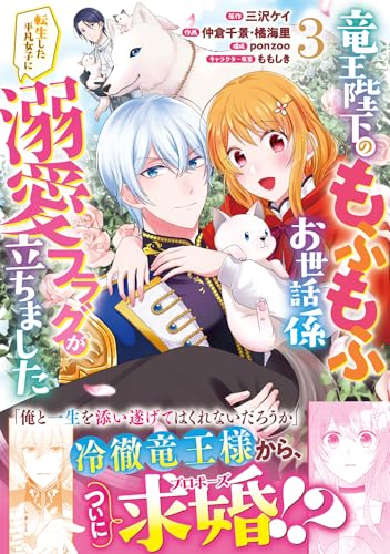 竜王陛下のもふもふお世話係～転生した平凡女子に溺愛フラグが立ちました～（3）