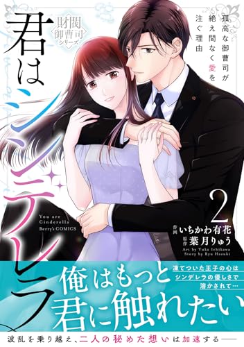 君はシンデレラ～孤高な御曹司が絶え間なく愛を注ぐ理由～（2）