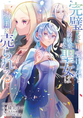 完璧すぎて可愛げがないと婚約破棄された聖女は隣国に売られる（7）