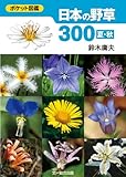 日本の野草300 夏・秋 (ポケット図鑑)