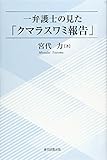一弁護士の見た「クマラスワミ報告」