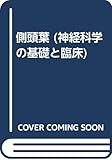 側頭葉 (神経科学の基礎と臨床)