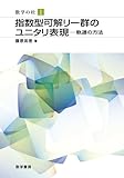 指数型可解リー群のユニタリ表現―軌道の方法 (数学の杜 1)