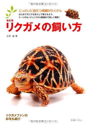 リクガメの飼い方の表紙