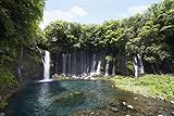 信仰の対象と芸術の源泉 世界遺産 富士山の魅力を生かす