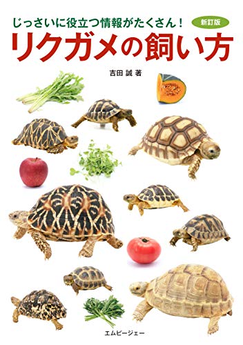 リクガメの飼い方 : じっさいに役立つ情報がたくさん!の表紙
