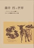 藤井哲の世界―スペインから沖縄へ