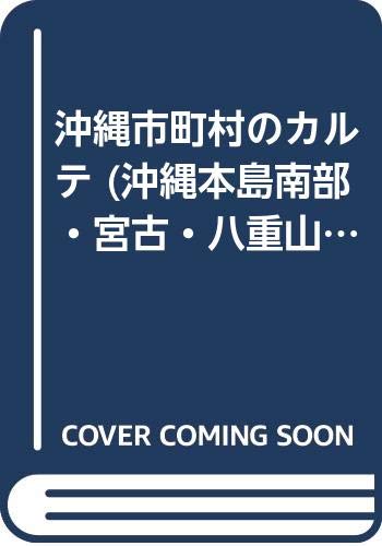 沖縄市町村のカルテ 沖縄本島南部・宮古・八重山・離島編の表紙