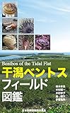 干潟ベントスフィールド図鑑