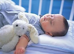 徹底した素材へのこだわりが本物の優しさを生み出す。