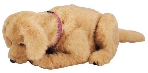 Amazon Co Jp 夢いぬdx ゴールデンレトリバー おもちゃ