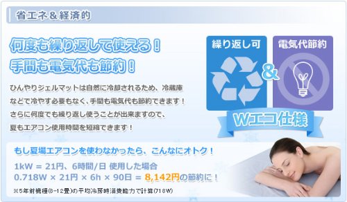 히라카와 서늘한 젤 매트 프리미엄 싱글 (90 × 90)