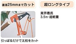 太枝をカット