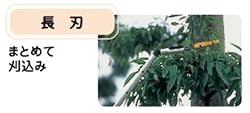 長刃