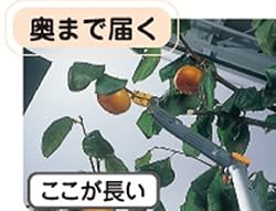 奥まで届く