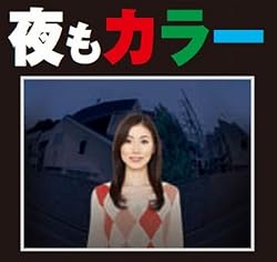 夜の訪問者もカラーで確認