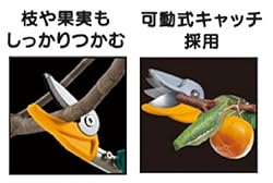 枝や果実をしっかりキャッチ