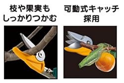 枝や果実をしっかりキャッチ