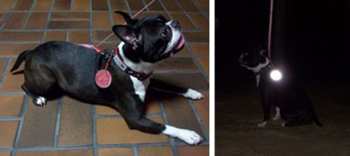 グリミスバンド (リフレクター)