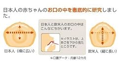 日本人と欧米人のお口の違い