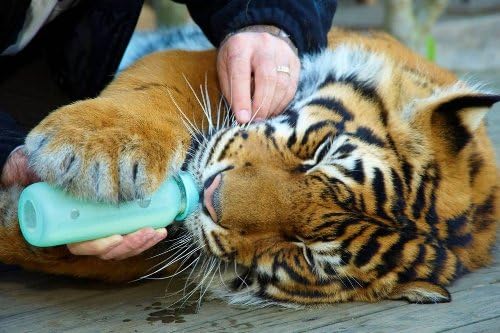 Silikids シリスキン ボトルカバー スリムL