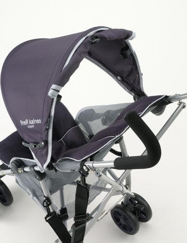 リッチェル ファインアール カルネオアッパー