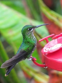 デジカメとしての性能も、本格派
