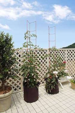 お手軽におしゃれにベランダ菜園が楽しめる