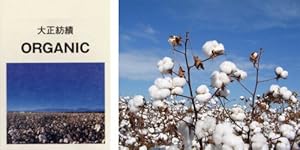 Rafens UVカットオーガニック授乳ケープ