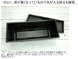 底が高くなっているので水が入る部分も確保