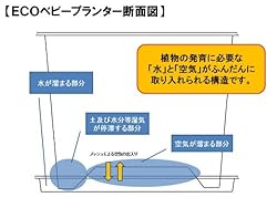 ECOベビープランターの断面図