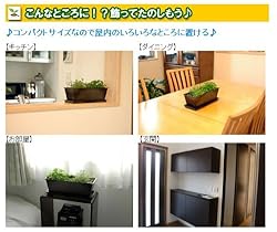 こんなところに…