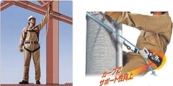 将来性も抜群