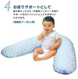 お座りのサポートに