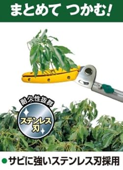 長刃タイプ