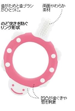 3カ月から用  歯ブラシに慣れるトレーニング