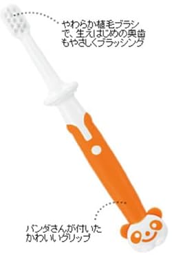 12か月から用 奥歯までしっかりみがくトレーニング